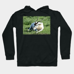 Addax Hoodie